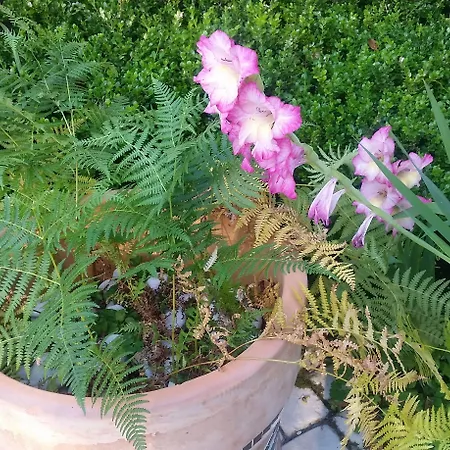 Le Clos D'any Frühstückspension 4*