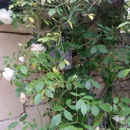 Le Clos D'any 4* Fontet