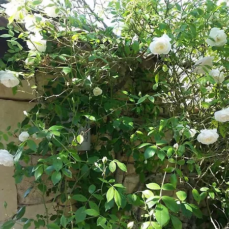 Le Clos D'any Alojamento de Acomodação e Pequeno-almoço Fontet