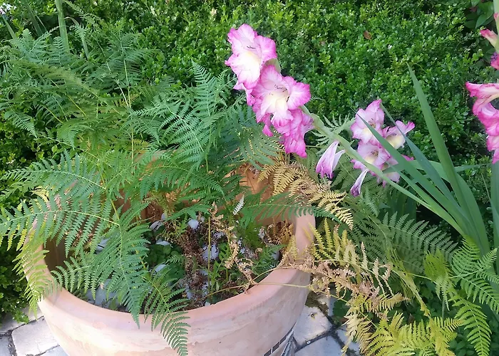 Le Clos D'any Bed & Breakfast 4*