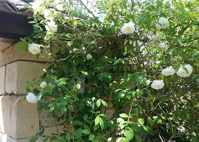 Le Clos D'any Bed & Breakfast Fontet